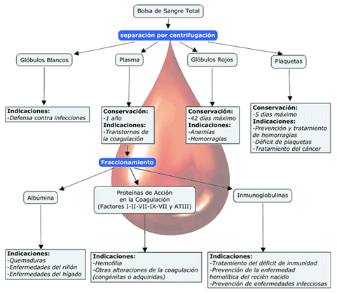 proceso posterior a la donación de sangre